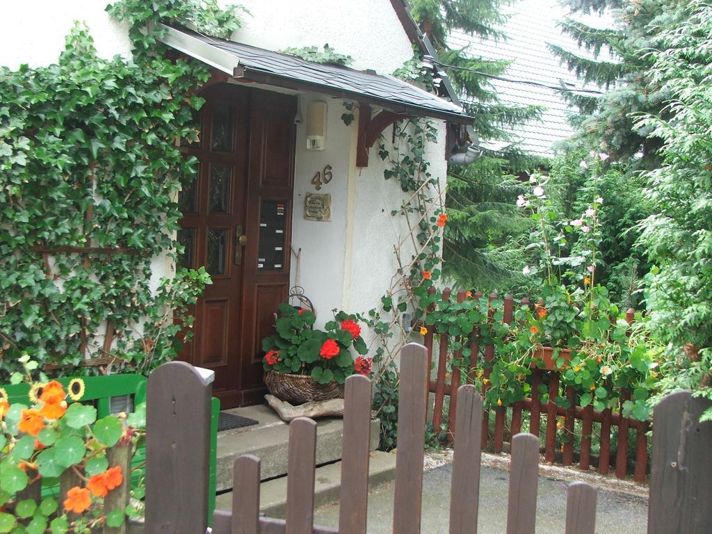 Ferienwohnung Grenzblick Обервиезентал Екстериор снимка